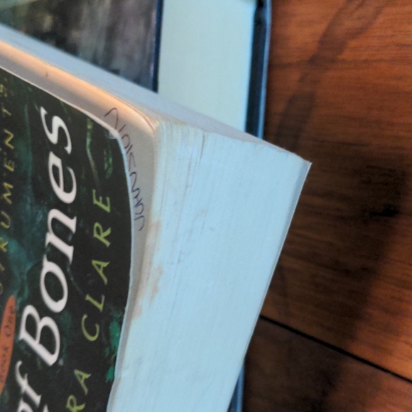 The Mortal Instruments Books 1,2 &3 - Picture 9 of 13